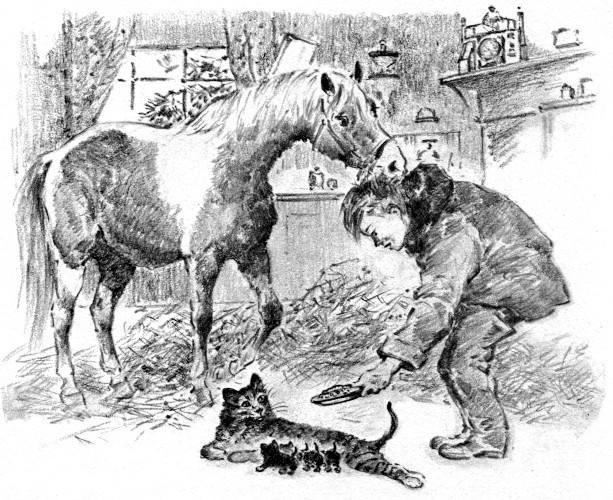 Illustration