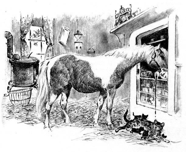 Illustration