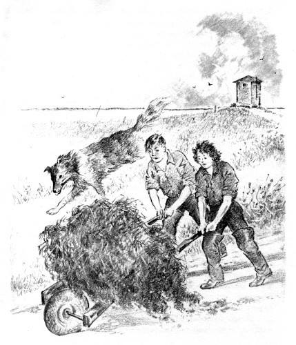 Illustration