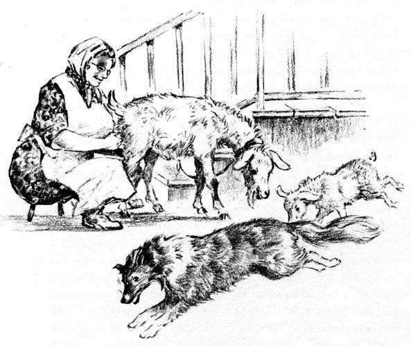 Illustration