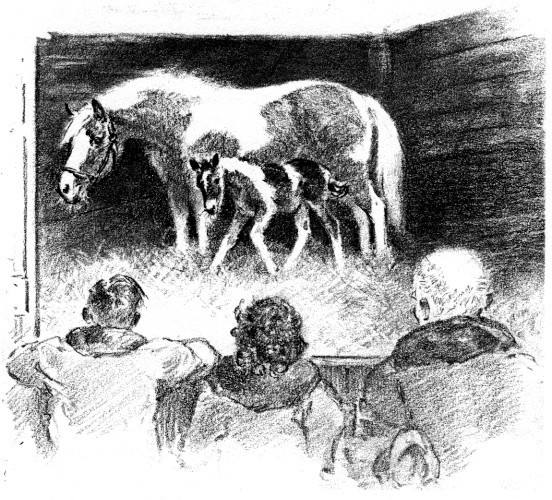 Illustration