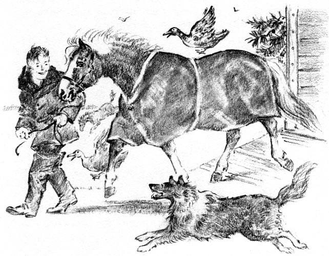 Illustration
