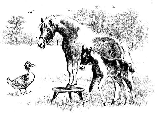 Illustration
