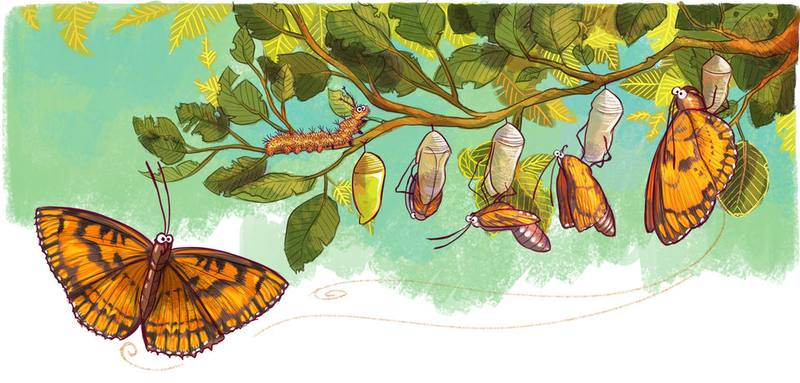 Picture for page 5
