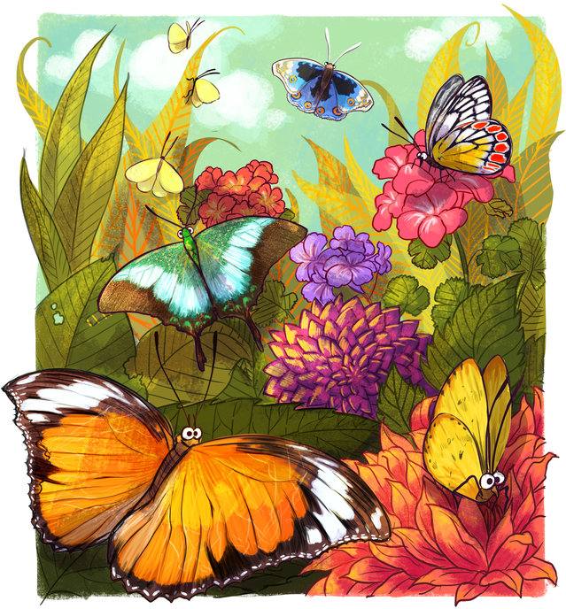 Picture for page 6