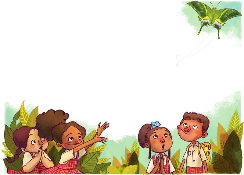 Picture for page 8