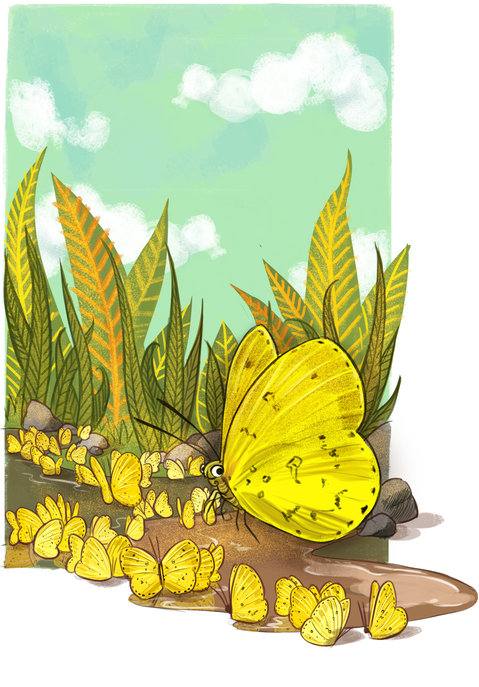 Picture for page 10