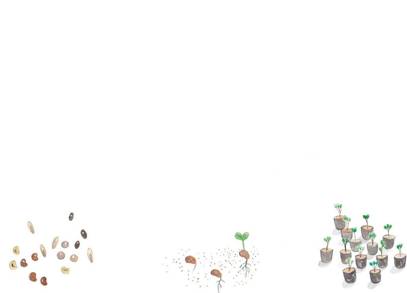 Picture for page 13