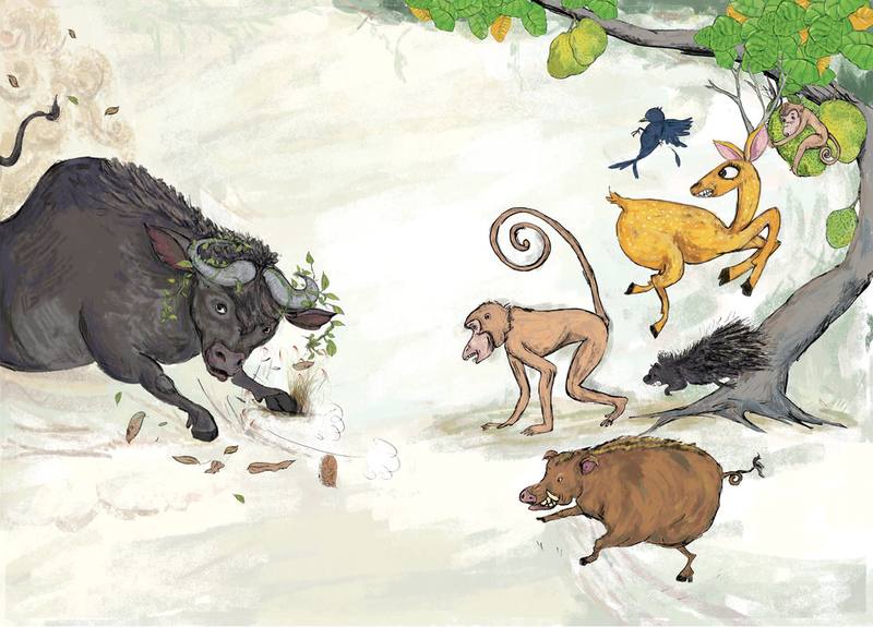 Picture for page 8