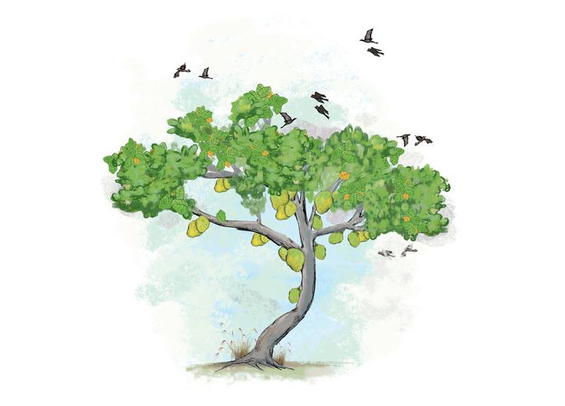 Picture for page 20