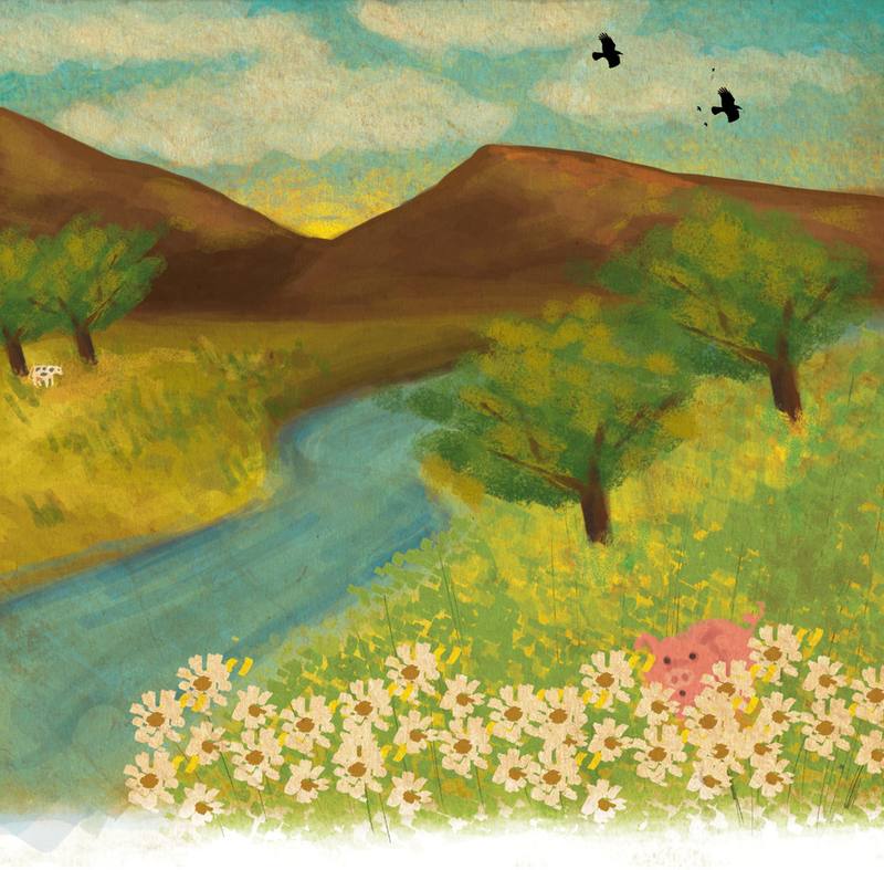 Picture for page 13
