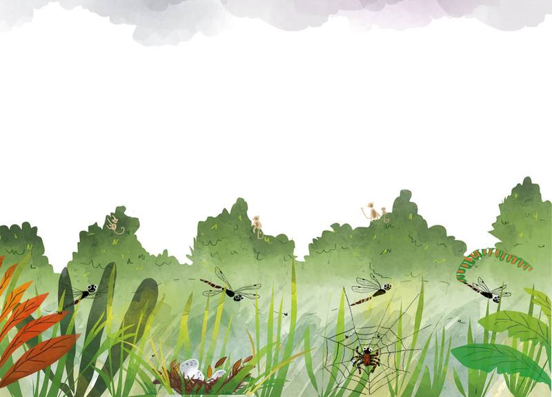 Picture for page 2