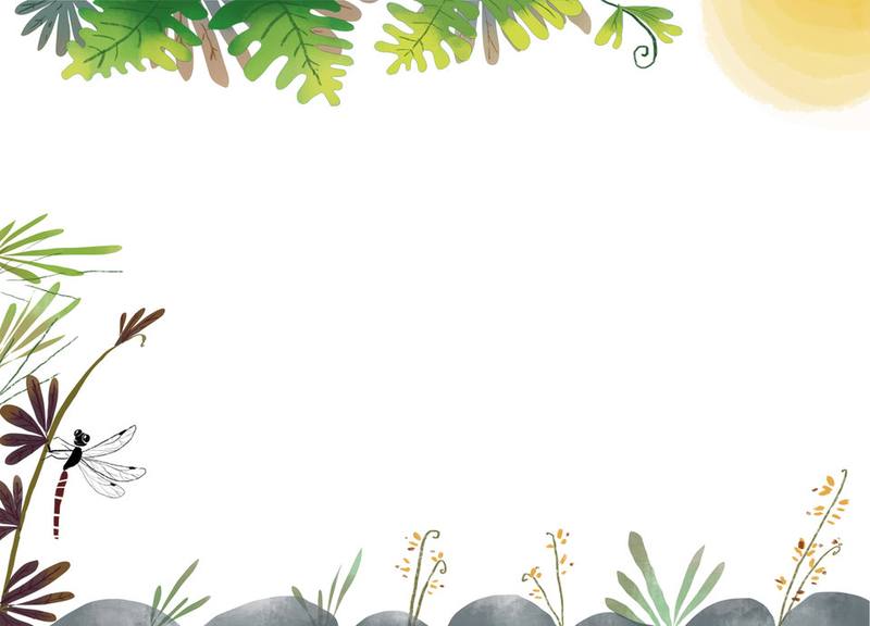 Picture for page 11