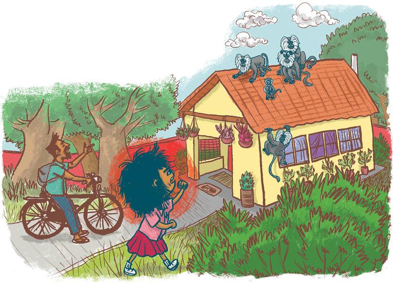 Picture for page 4