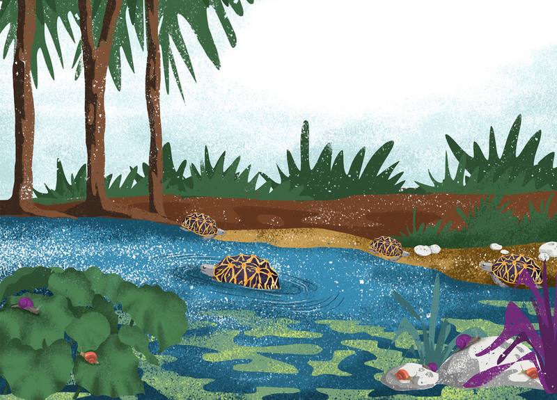 Picture for page 4