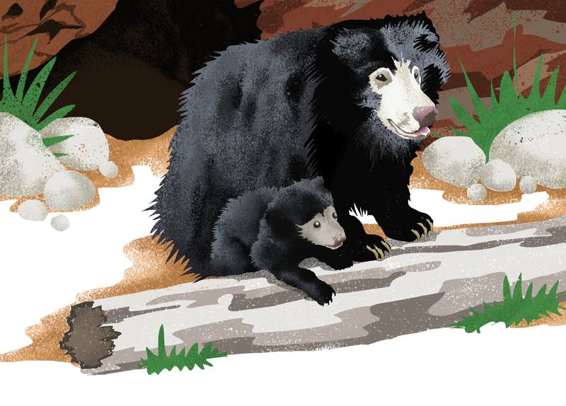 Picture for page 8