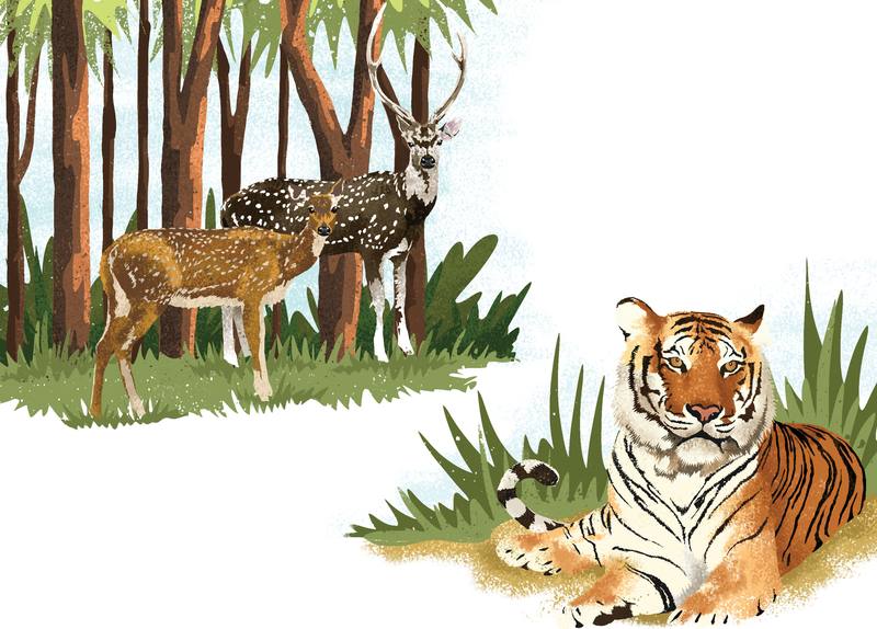 Picture for page 10