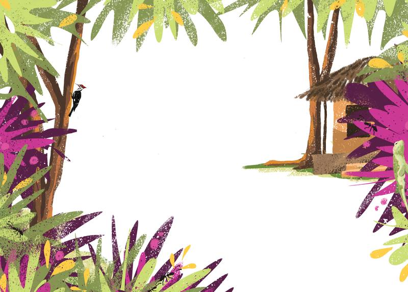 Picture for page 11