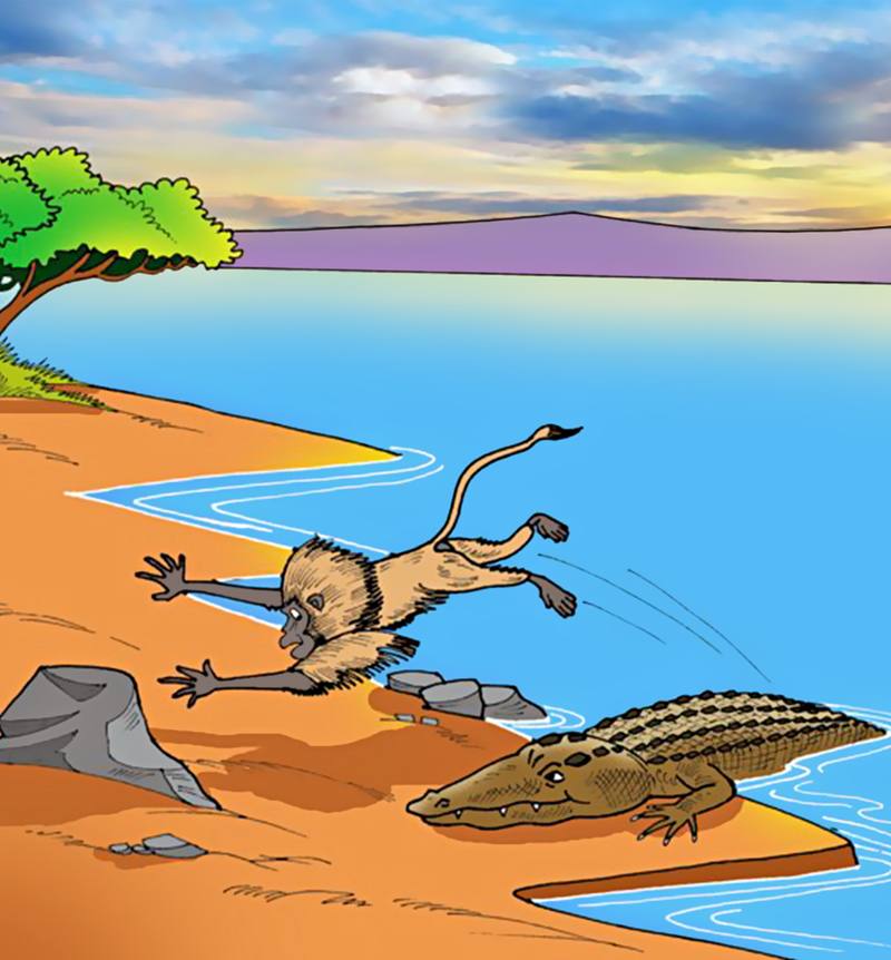 Picture for page 14