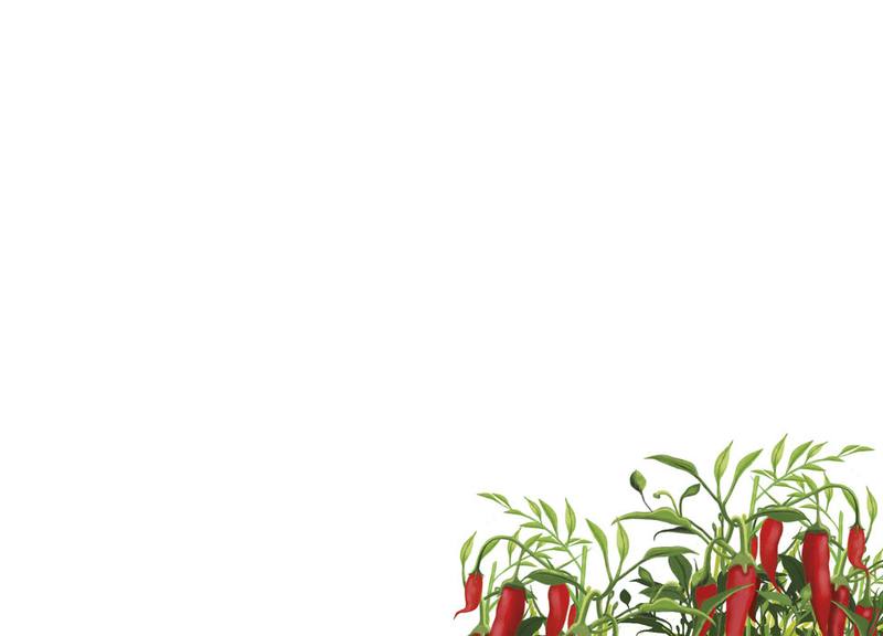 Picture for page 31