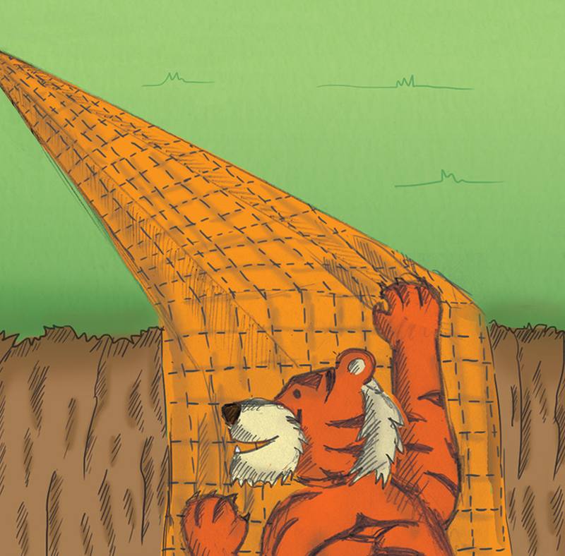 Picture for page 5