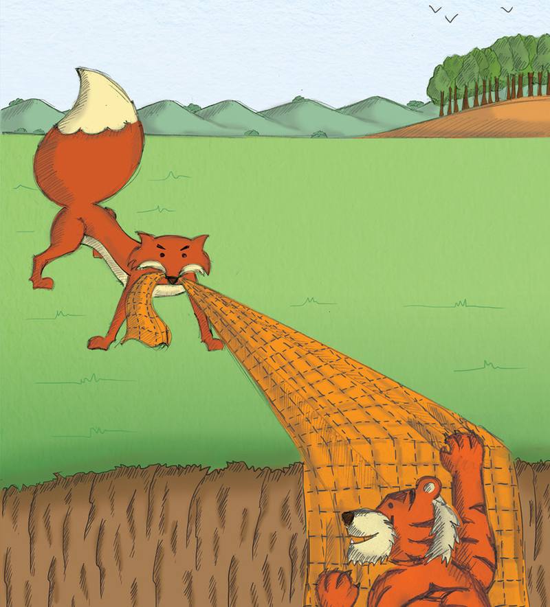 Picture for page 6