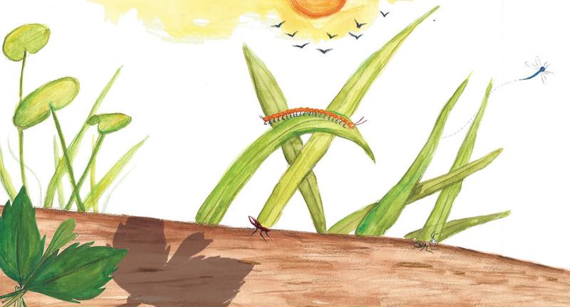 Picture for page 9