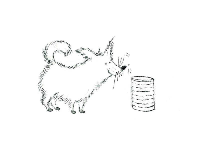 Picture for page 1