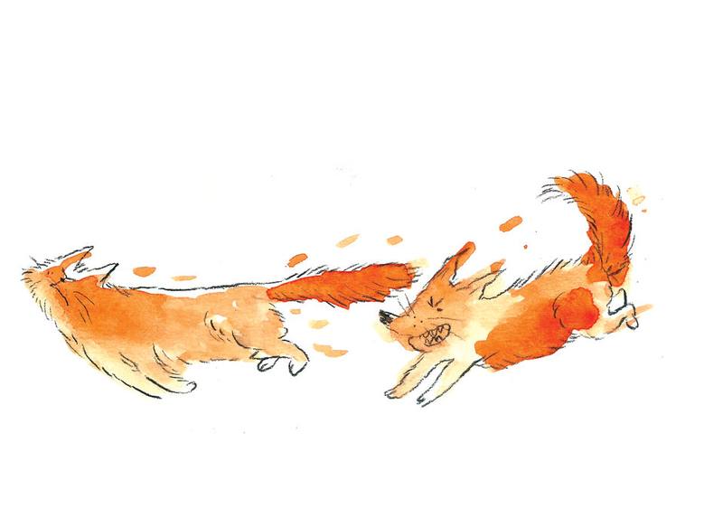 Picture for page 10