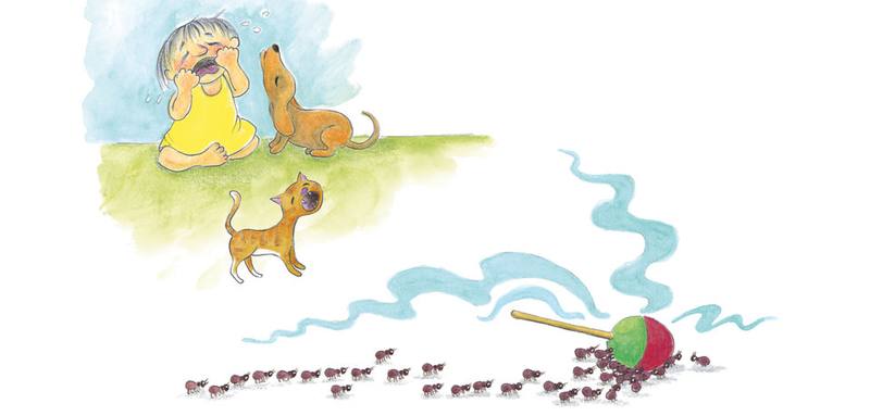 Picture for page 4