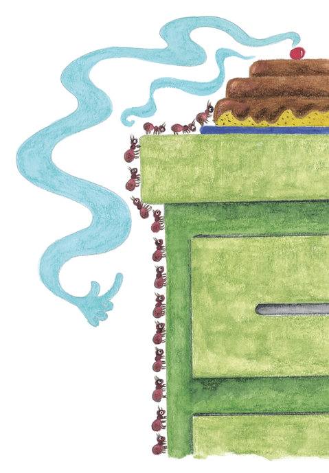 Picture for page 5
