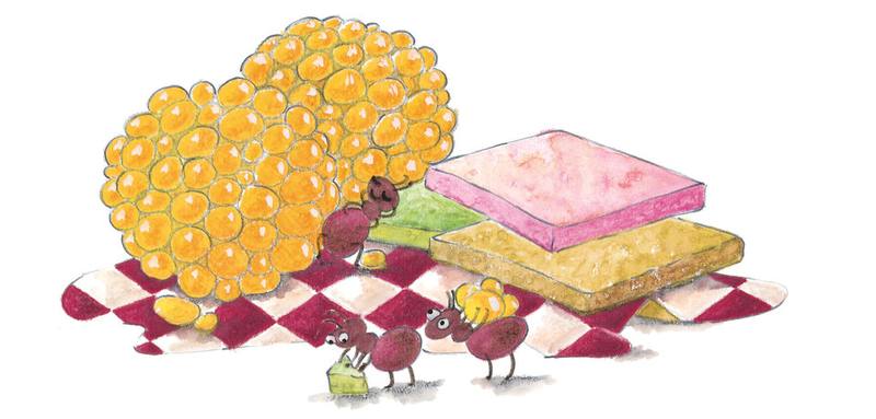Picture for page 7