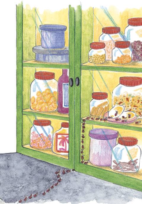 Picture for page 9
