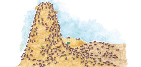 Picture for page 10