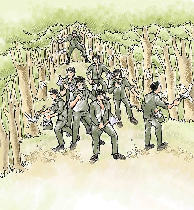 Picture for page 13