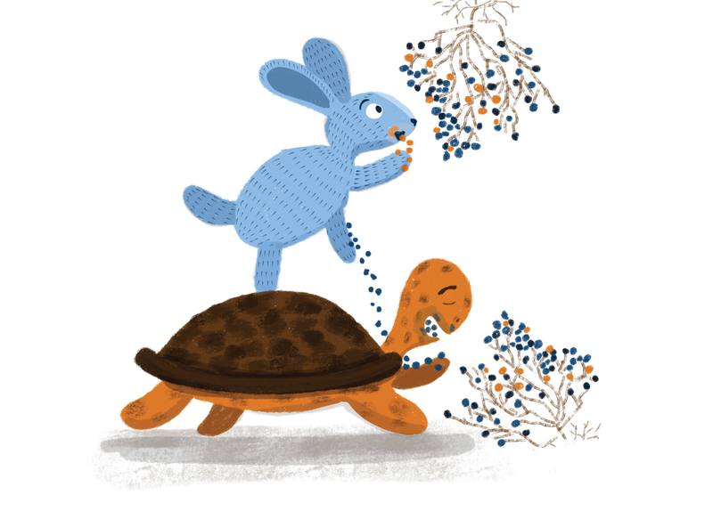 Picture for page 10