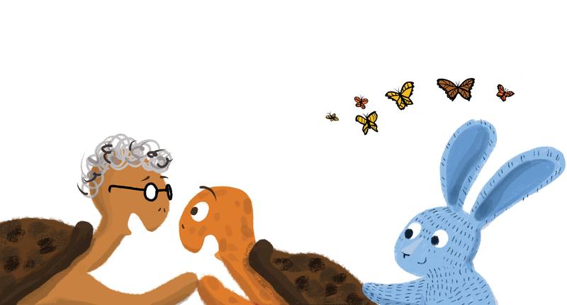Picture for page 14