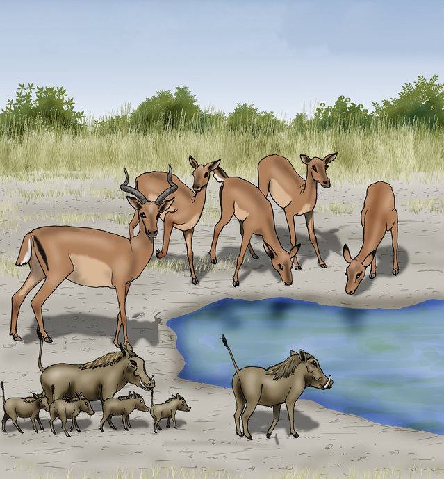 Picture for page 4