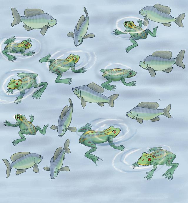 Picture for page 6