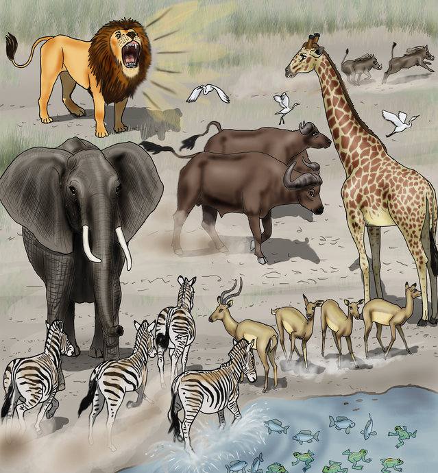 Picture for page 7