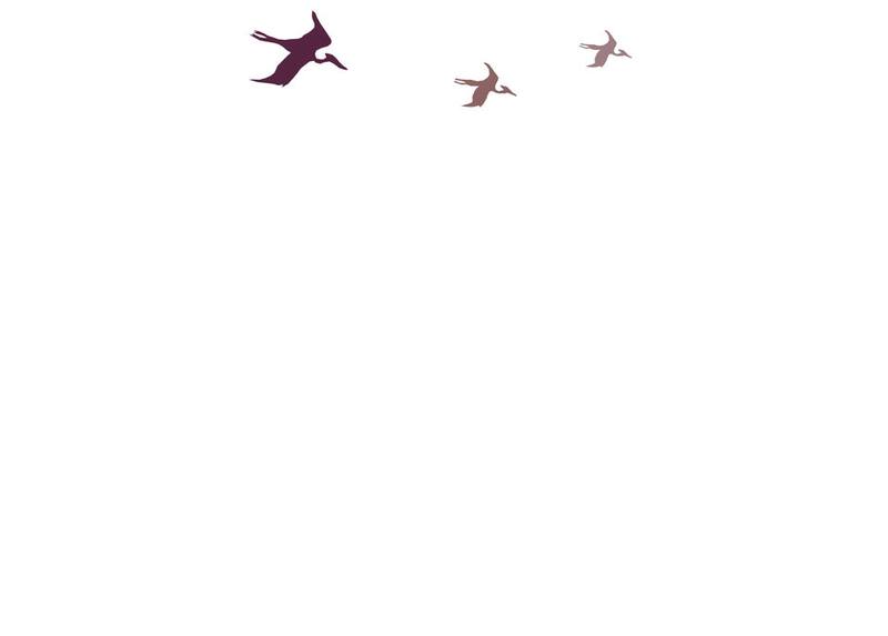 Picture for page 6