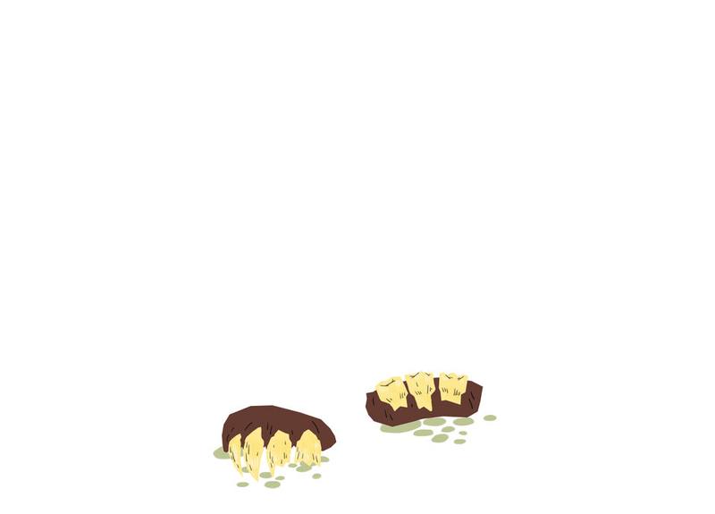 Picture for page 10