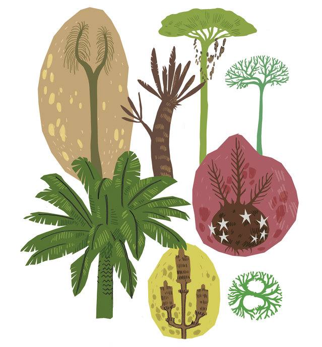 Picture for page 12