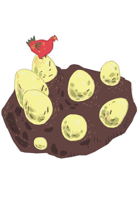 Picture for page 13