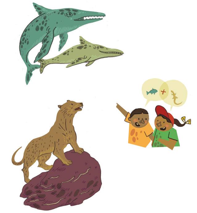 Picture for page 17