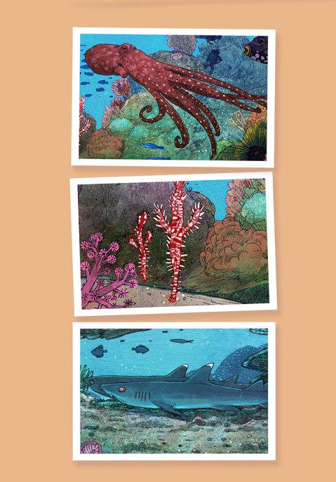 Picture for page 18