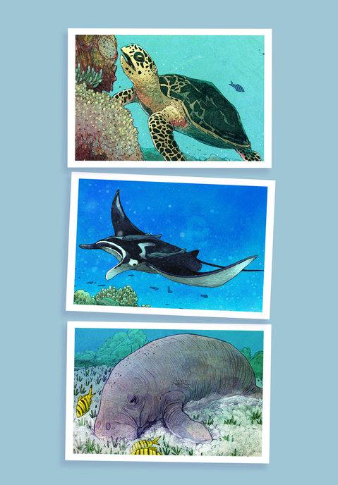 Picture for page 19