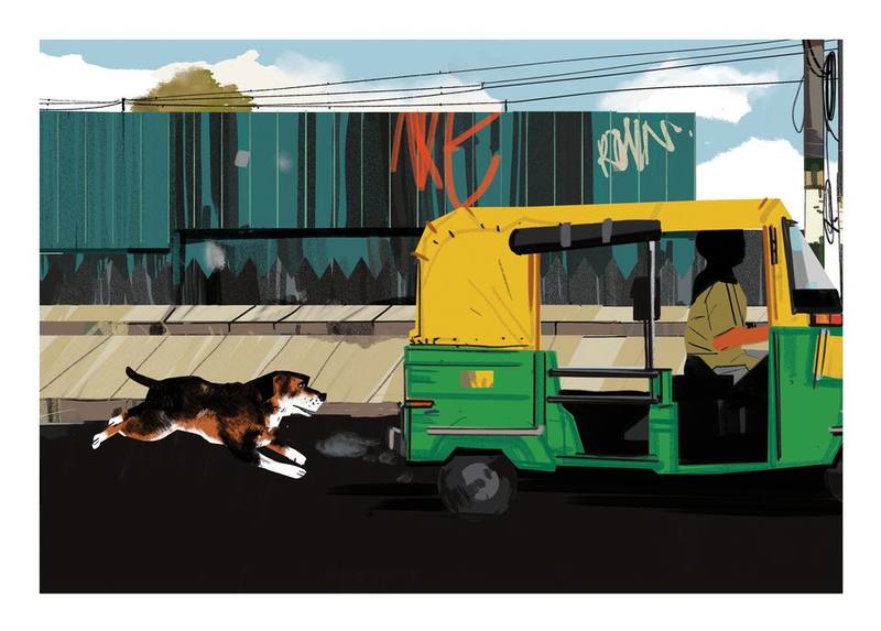 Picture for page 8