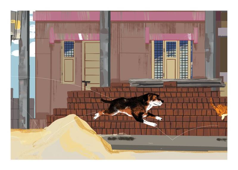 Picture for page 11