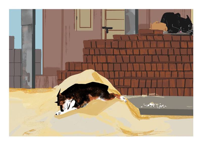 Picture for page 13